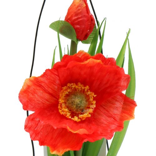 Floristik24 Mak pomarańczowy w szkle do zawieszenia H22cm