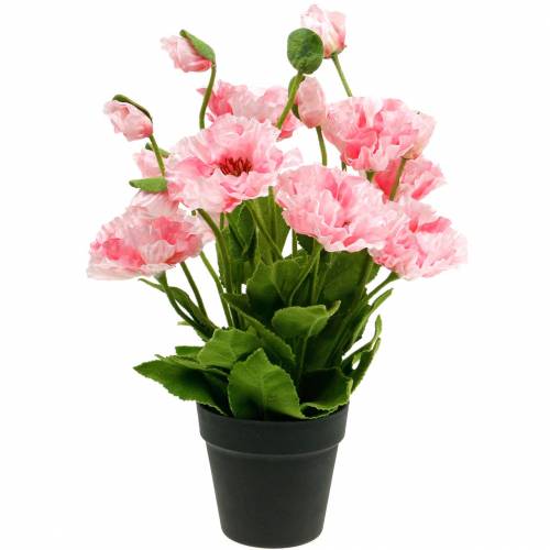 Floristik24 Mak orientalny, sztuczny kwiat, mak w doniczce różowy