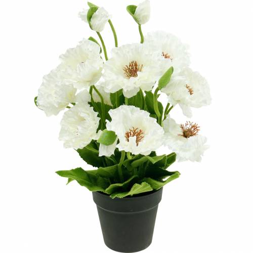 Mak w doniczce Biały Jedwabne kwiaty Dekoracja kwiatowa