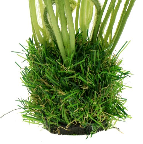 Produkt Mak biały w trawie 23cm