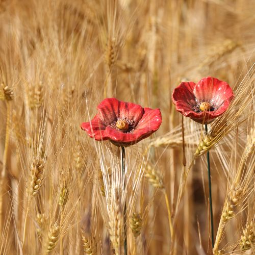 Produkt Ceramiczny kwiat maku romantyczna dekoracja do wiosennego ogrodu i rabat kwiatowych 31 cm 6 szt.