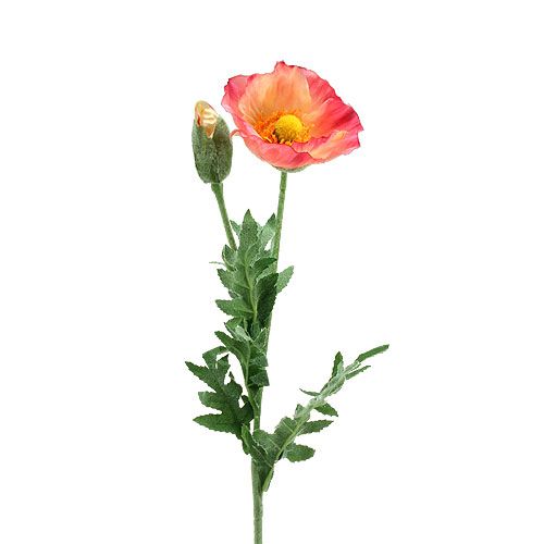 Floristik24 Sztuczny mak różowy, żółty 74cm