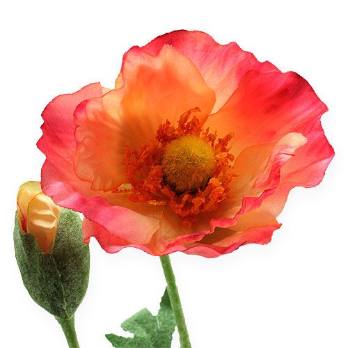 Floristik24 Sztuczny mak różowy, żółty 74cm