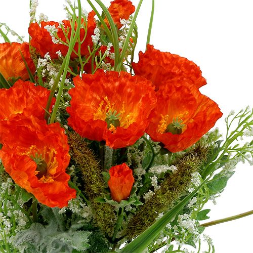 Floristik24 Bukiet maków pomarańczowy 40cm