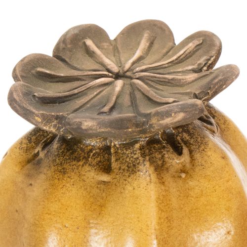 Produkt Palik ogrodowy, strąk z nasionami maku do stylowej aranżacji ogrodu, na rabaty kwiatowe lub balkony, 60 cm, 2 sztuki