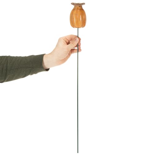 Produkt Palik ogrodowy, strąk z nasionami maku do stylowej aranżacji ogrodu, na rabaty kwiatowe lub balkony, 60 cm, 2 sztuki
