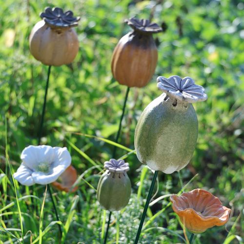 Produkt Ozdoby ogrodowe w kształcie palików z makiem do uroczych aranżacji ogrodowych 60 cm 2 szt.