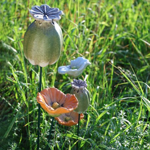 Produkt Ozdoby ogrodowe w kształcie palików z makiem do uroczych aranżacji ogrodowych 60 cm 2 szt.