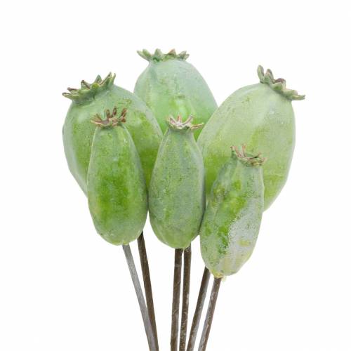 Floristik24 Sztuczne kapsułki makowe zielone 26cm/28cm 6szt