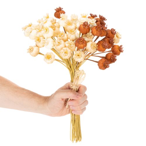 Suszone sztuczne strąki maku, bukiet trzech kolorów, 40cm, 45 sztuk | Floristik24.pl