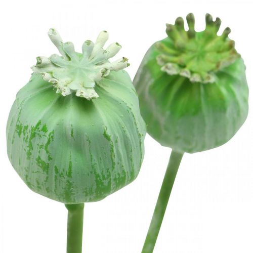 Floristik24 Kapsułki Makowe Deco Sztuczny Mak na Patyku Zielony 58cm 3szt w Pakiecie