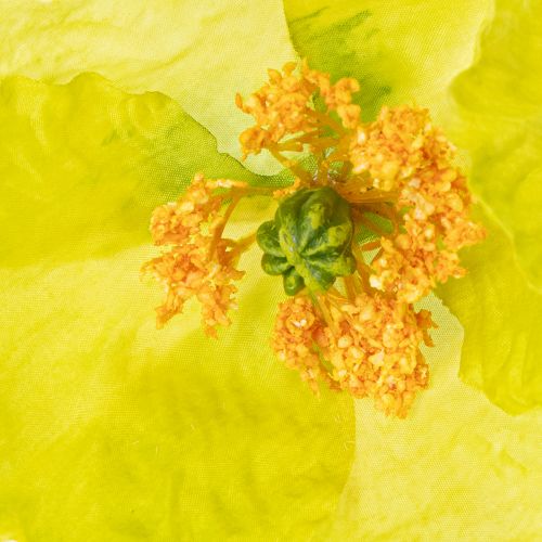 Produkt Sztuczny mak dekoracyjny do salonów i biur, 95cm