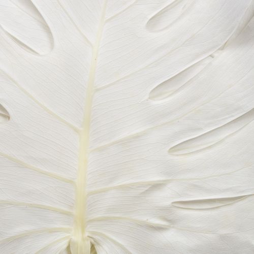 Floristik24 Liście Monstera bielone dekoracyjne na okno wys. 40cm 5 szt.