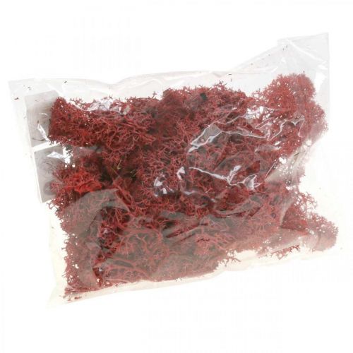 Produkt Mech dekoracyjny do rękodzieła Naturalny mech w kolorze czerwonym w woreczku 40g