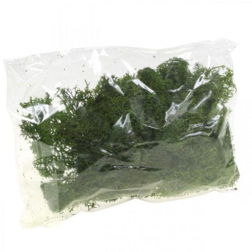 Floristik24 Mech dekoracyjny do rękodzieła Ciemnozielony naturalny mech konserwowany 40g