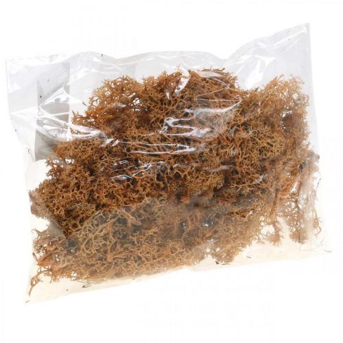 Produkt Mech dekoracyjny do rękodzieła kolor pomarańczowy naturalny mech konserwowany 40g