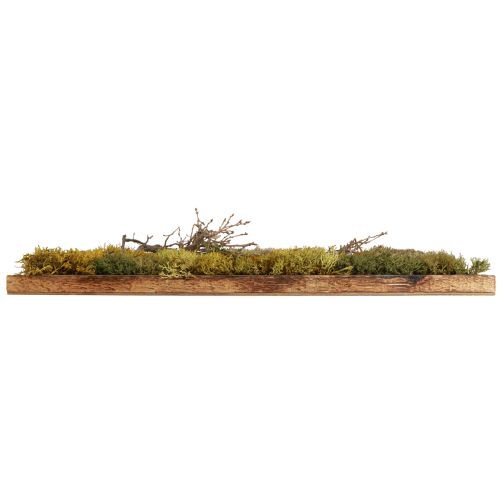 Produkt Obrazek z mchem zakonserwowanym prawdziwym mchem i naturalnymi gałęziami o wymiarach 60×40cm