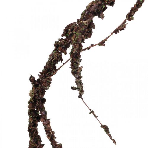 Floristik24 Girlanda z mchu brązowa dł. 180 cm