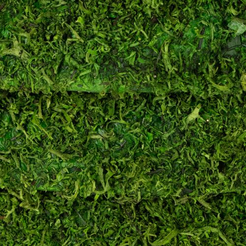 Produkt Dekoracyjny wianek z mchu do aranżacji sezonowych i indywidualnych projektów, 15 cm, 6 szt.