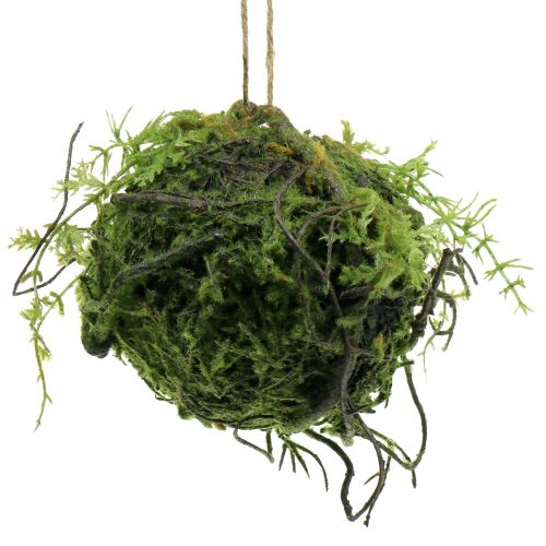 Floristik24 Mech Kula Kokedama Sztuczna Zielona Ø13cm