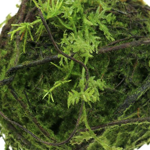 Floristik24 Mech Kula Kokedama Sztuczna Zielona Ø13cm