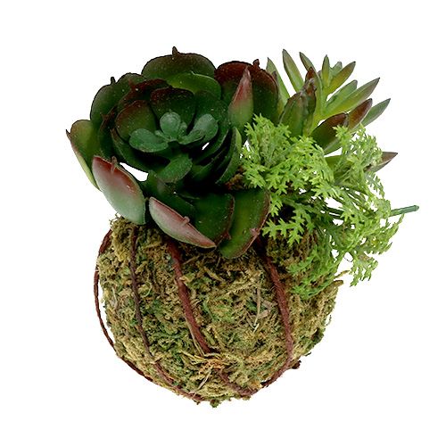 Floristik24 Kokedama Artificial Green Ø7cm