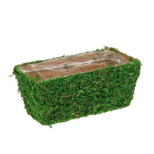 Floristik24 Doniczka zieleń mchu 20×10cm W9cm