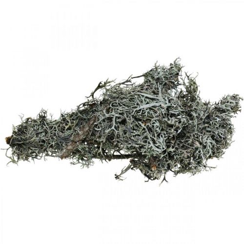 Produkt Deco gałązki mech dębowy mech deco porosty dekoracja naturalna 750g