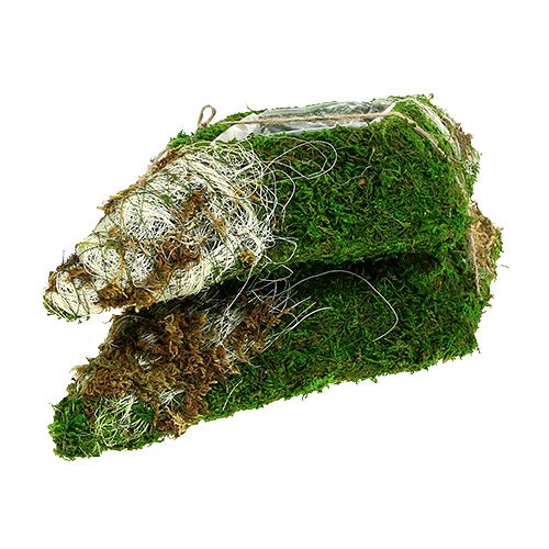 Floristik24 Mech poduszka roślina rue 34cm x 19cm 2szt.