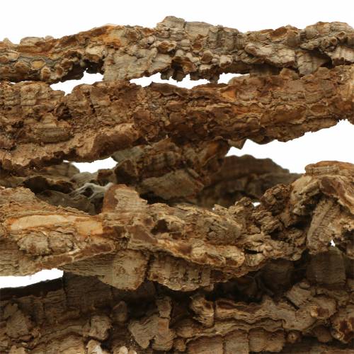 Floristik24 Gałęzie dębu korkowego Gałęzie Muruku 100cm 10 szt