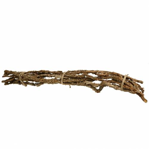 Floristik24 Gałęzie dębu korkowego Gałęzie Muruku 100cm 10 szt