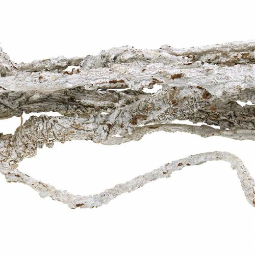 Floristik24 Gałęzie dębu korkowego Gałęzie Muruku białe 100cm 10 szt