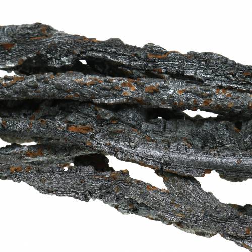 Floristik24 Gałęzie dębu korkowego Gałęzie Muruku czarne 100cm 10 szt