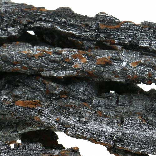 Floristik24 Gałęzie dębu korkowego Gałęzie Muruku czarne 100cm 10 szt