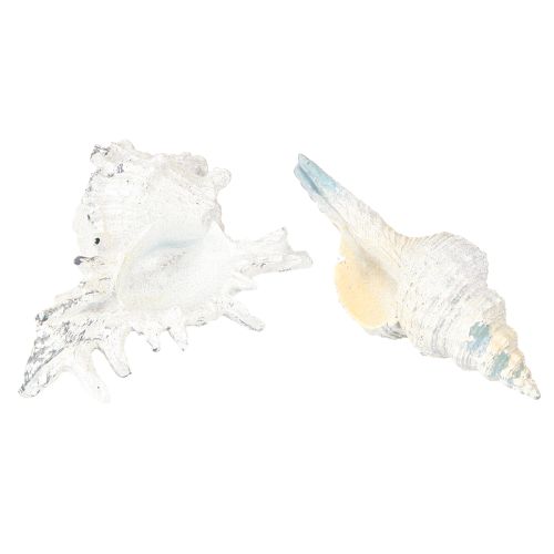Produkt Muszla dekoracyjna ślimak morski sztuczny niebiesko-biały 11,5/13 cm 2 szt.