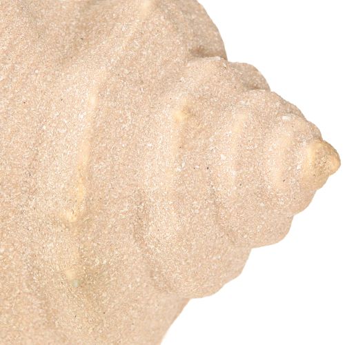 Produkt Muszla Dekoracja Morska Ceramiczna Niebiesko-Beżowa 16,5×11×9,5cm 2 szt