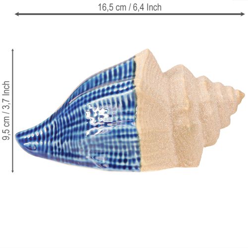 Produkt Muszla Dekoracja Morska Ceramiczna Niebiesko-Beżowa 16,5×11×9,5cm 2 szt