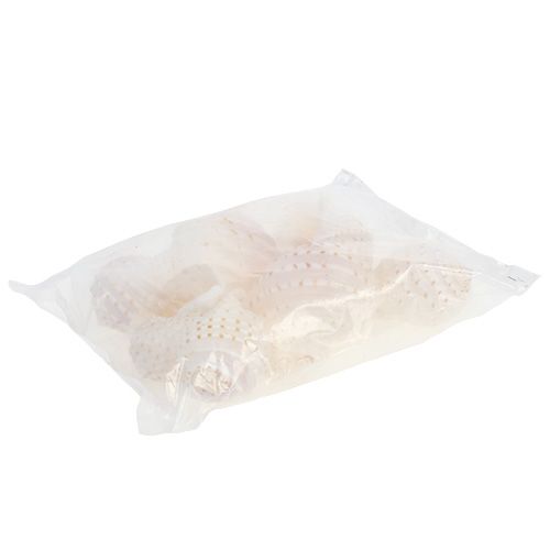 Produkt Małża Tonna Tessalata 7 szt