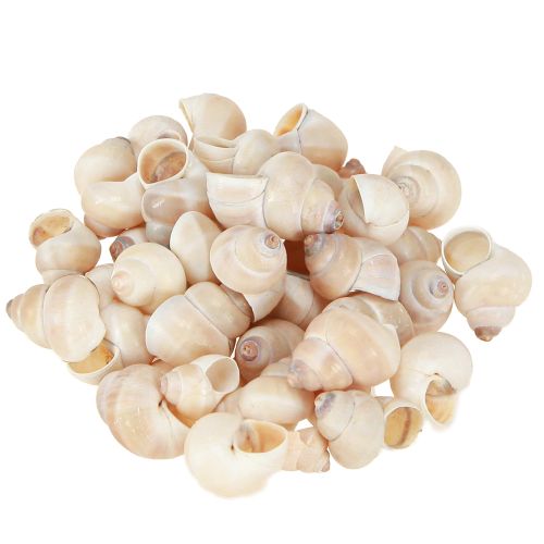 Produkt Małża Umachi 500g