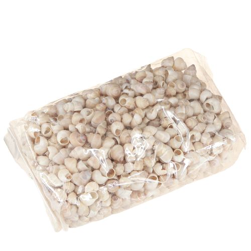 Floristik24 Małża Umachi 500g