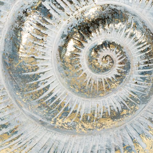 Produkt Dekoracyjny pojemnik w kształcie ślimaka do aranżacji ściennych w stylu marynistycznym i naturalnym, szary, 21 cm