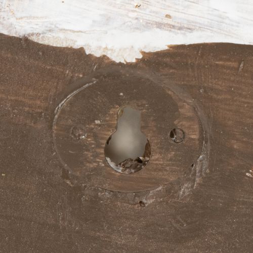 Produkt Dekoracyjny pojemnik w kształcie ślimaka do aranżacji ściennych w stylu marynistycznym i naturalnym, szary, 21 cm