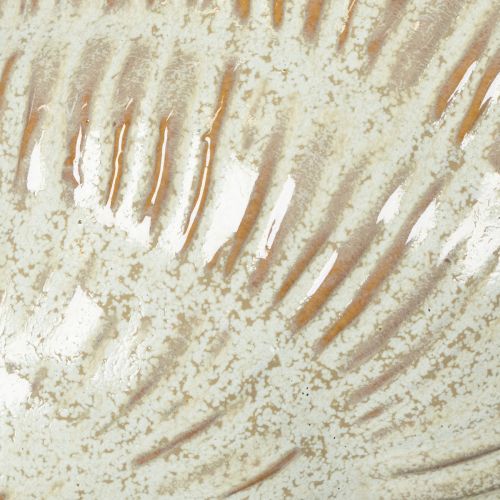 Produkt Ceramiczna miska z motywem muszli, elegancka dekoracja salonu, 23 cm