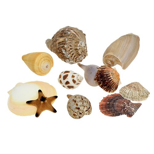 Mieszanka małży w pudełku natura 380g