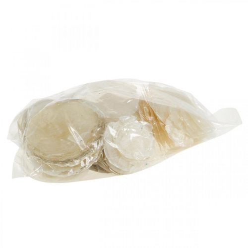 Produkt Dekoracja plażowa, muszle capiz 5-10cm, przedmioty naturalne, masa perłowa, morska 1kg