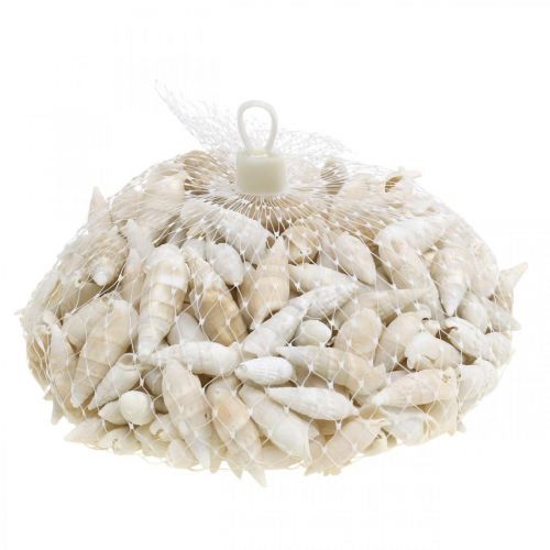 Produkt Dekoracyjne ślimaki białe, ślimak morski naturalna dekoracja 2-5cm 1kg