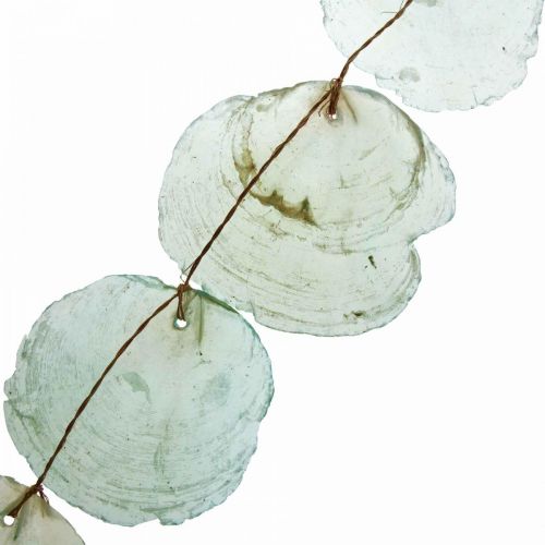 Floristik24 Shell Deco Capiz Girlanda Shell Girlanda Zielona 100cm
