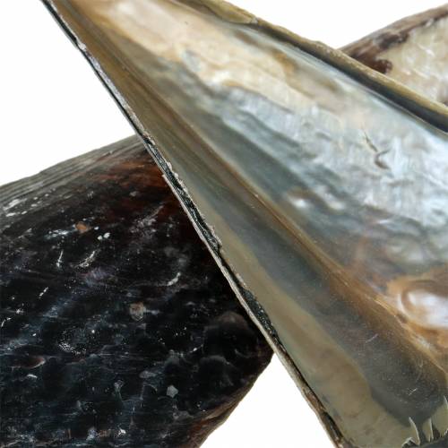 Floristik24 Nakładki na długopisy czarne 24 – 30cm 1kg