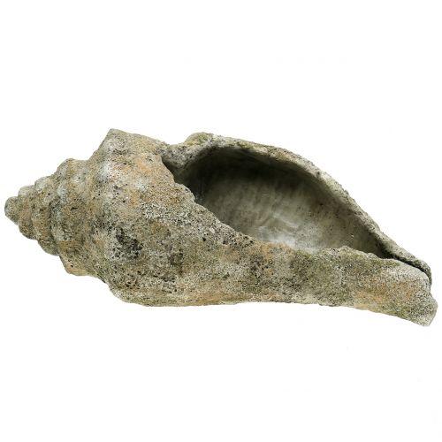 Floristik24 Skrzynka do sadzenia L40cm