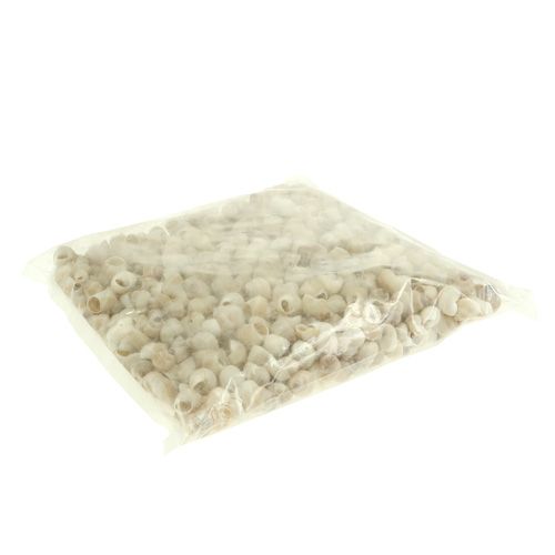 Produkt Małża Umachi 500g
